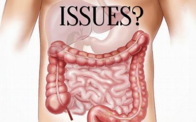 Having Irritable Bowel Syndrome issues? See how I can help you with my courses! Link in bio #reflexology #ibs #selfhelp