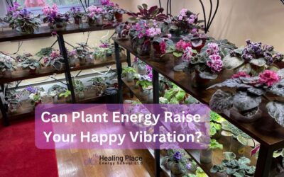 Can Plant Energy Raise Your Happy Vibration? #HealingPlaceEnergySchool #PlantPower #PositiveEnery #ReflexologyNearMe