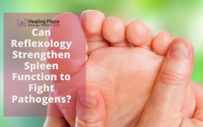 Can #Reflexology Strengthen #Spleen Function to Fight Pathogens? #ReflexologyNearMe #SpleenHealth #HealingPlaceEnergySchool