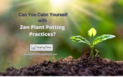 Can You Calm Yourself with Zen Plant Potting Practice? #PlantZen #CalmingYourselfWithPlants #ReflexologyNearMe #HealingPlaceEnergySchool