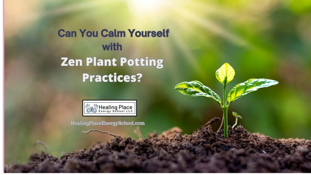 Can You Calm Yourself with Zen Plant Potting Practice? #PlantZen #CalmingYourselfWithPlants #ReflexologyNearMe #HealingPlaceEnergySchool