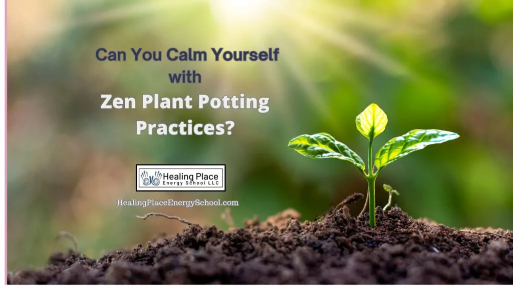 Can You Calm Yourself with Zen Plant Potting Practice? #PlantZen #CalmingYourselfWithPlants #ReflexologyNearMe #HealingPlaceEnergySchool