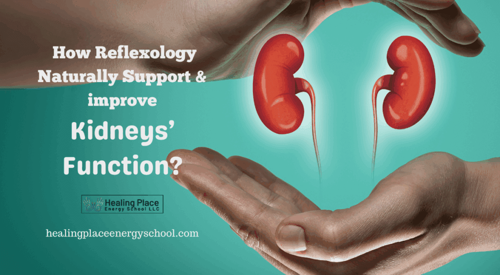 How #Reflexology Naturally Supports and Improves #Kidney Function #CKD #KidneyHealth #HealingPlaceEnergySchool #RefleoxlogyNearMe